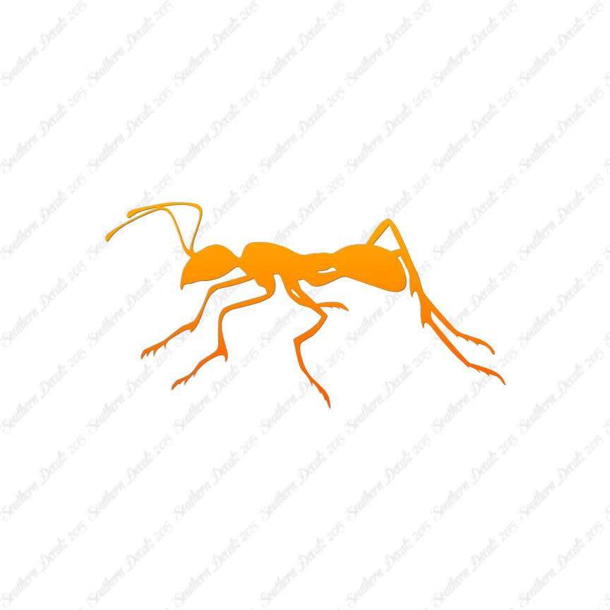Ant Insect