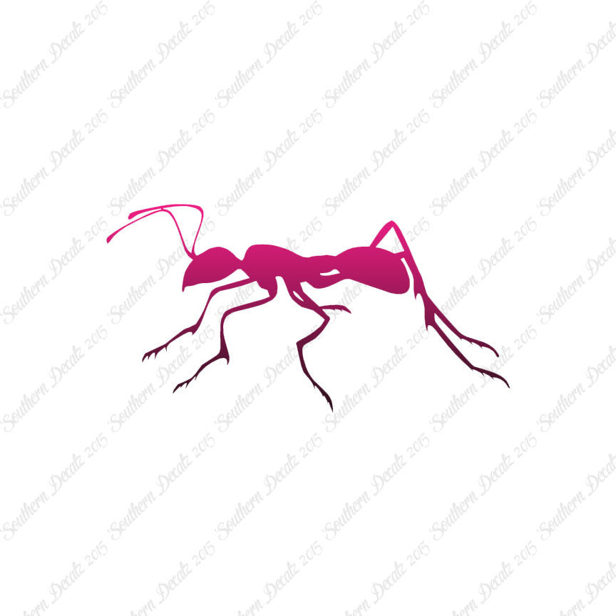 Ant Insect