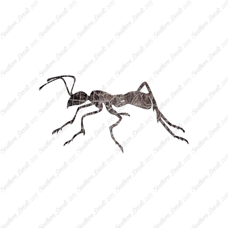 Ant Insect