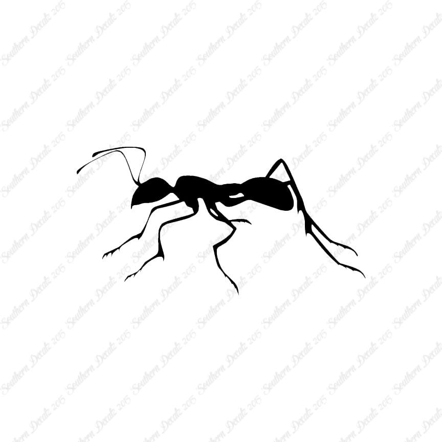 Ant Insect