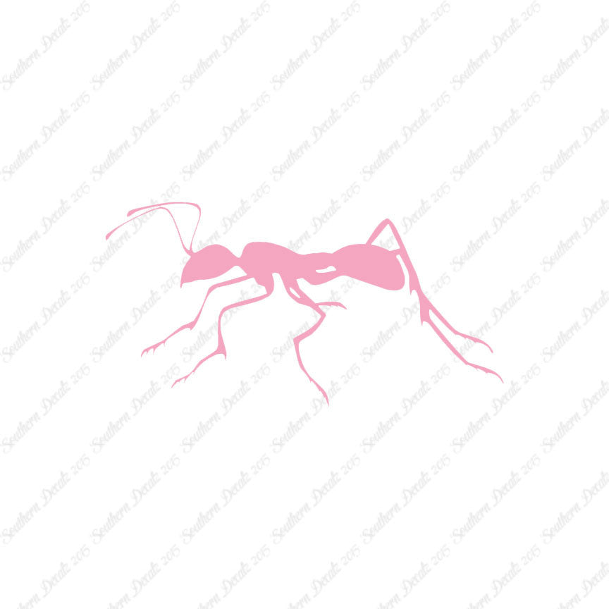 Ant Insect