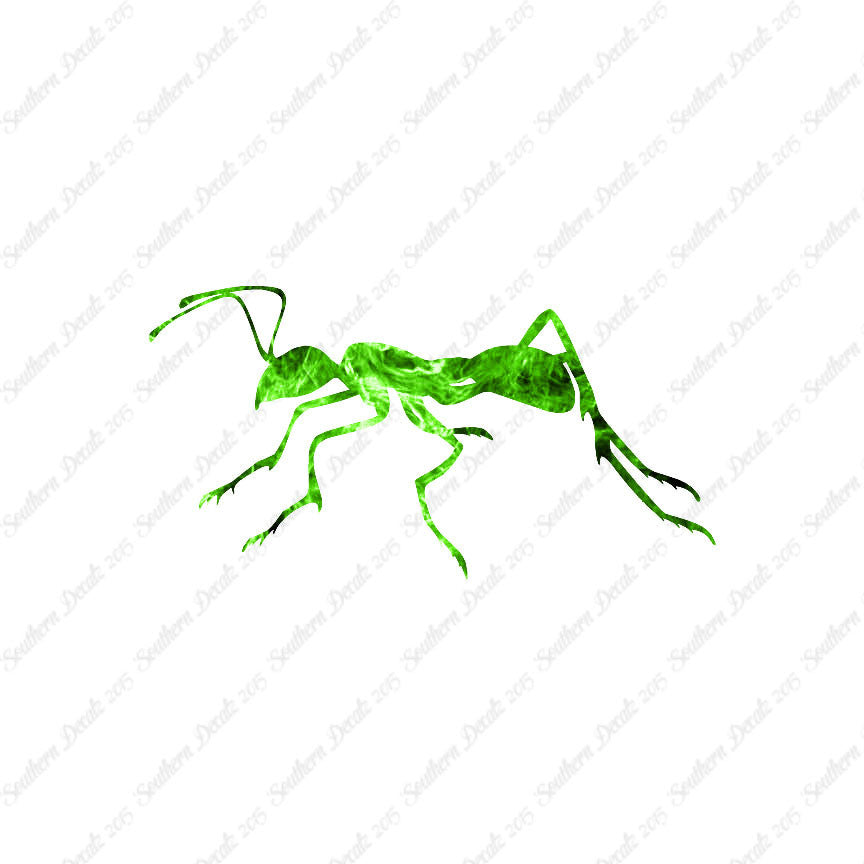 Ant Insect