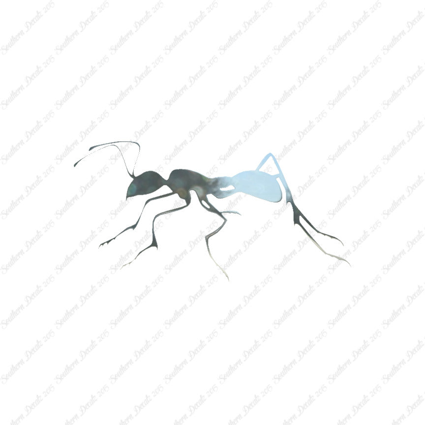 Ant Insect