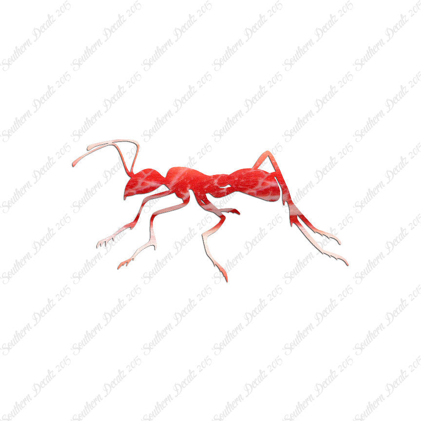 Ant Insect