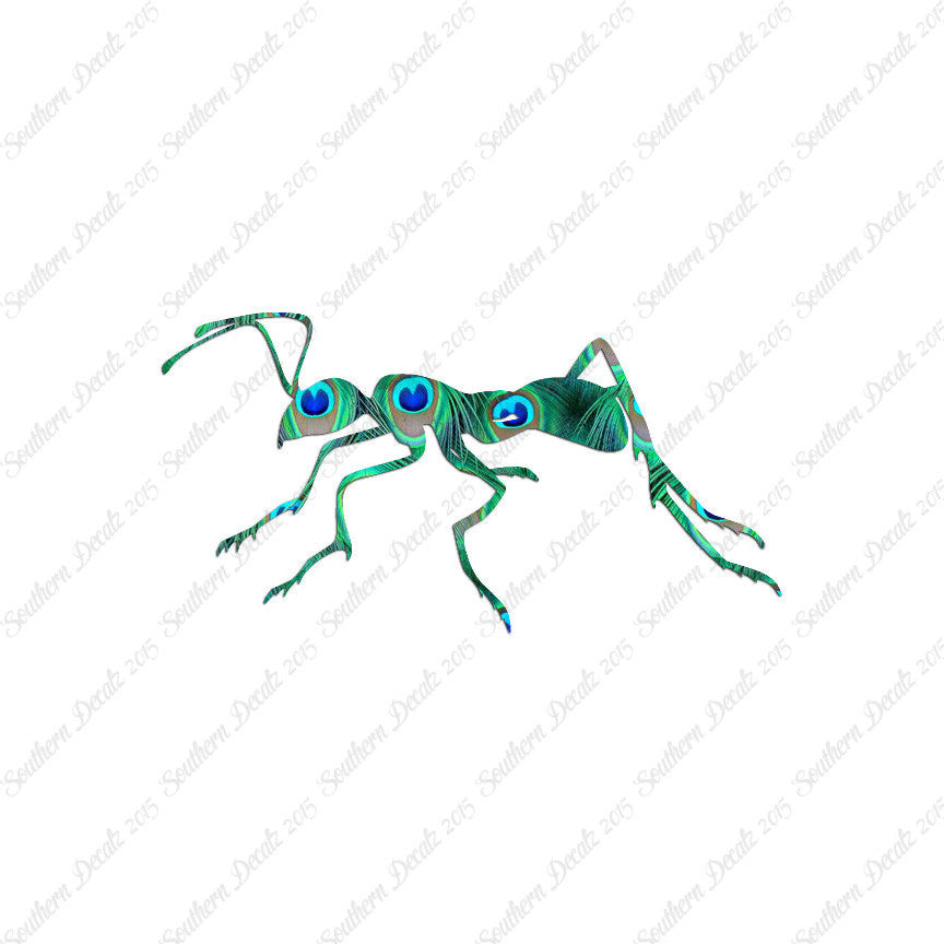 Ant Insect