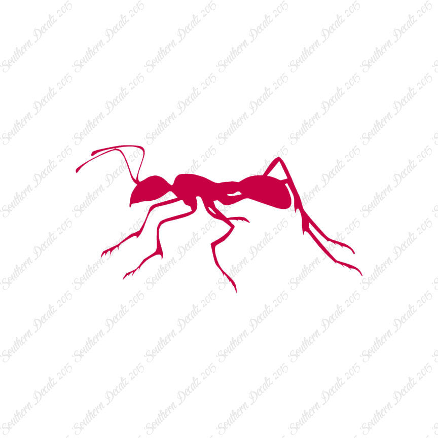 Ant Insect
