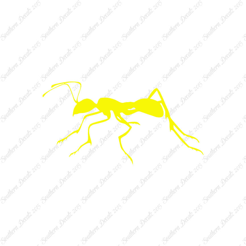 Ant Insect