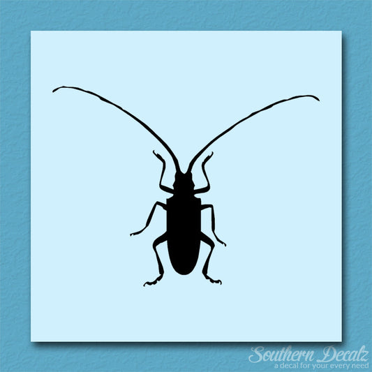 Longhorn Beetle
