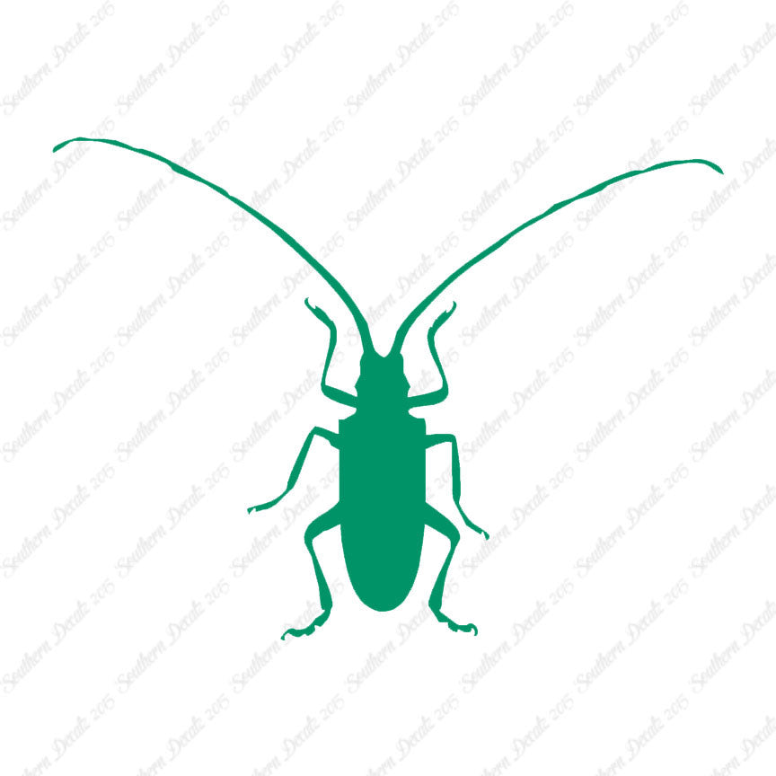 Longhorn Beetle