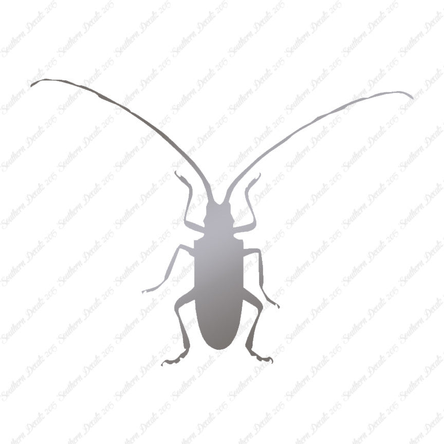 Longhorn Beetle