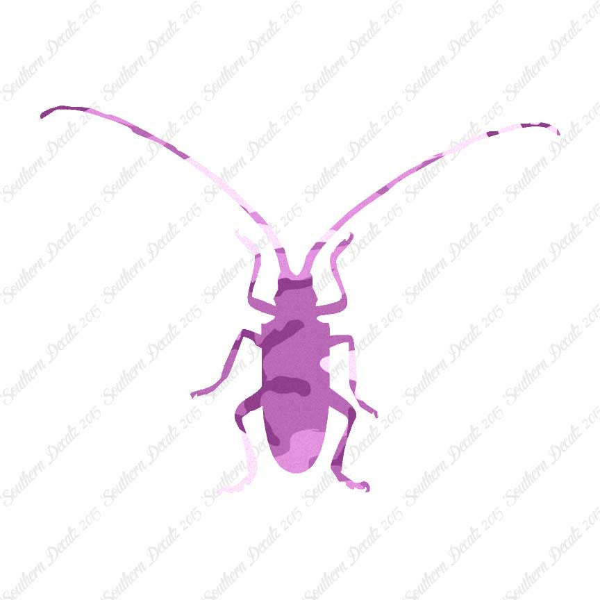 Longhorn Beetle