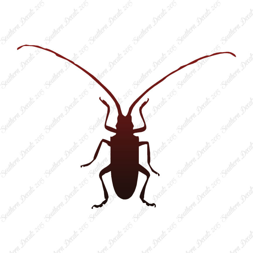 Longhorn Beetle