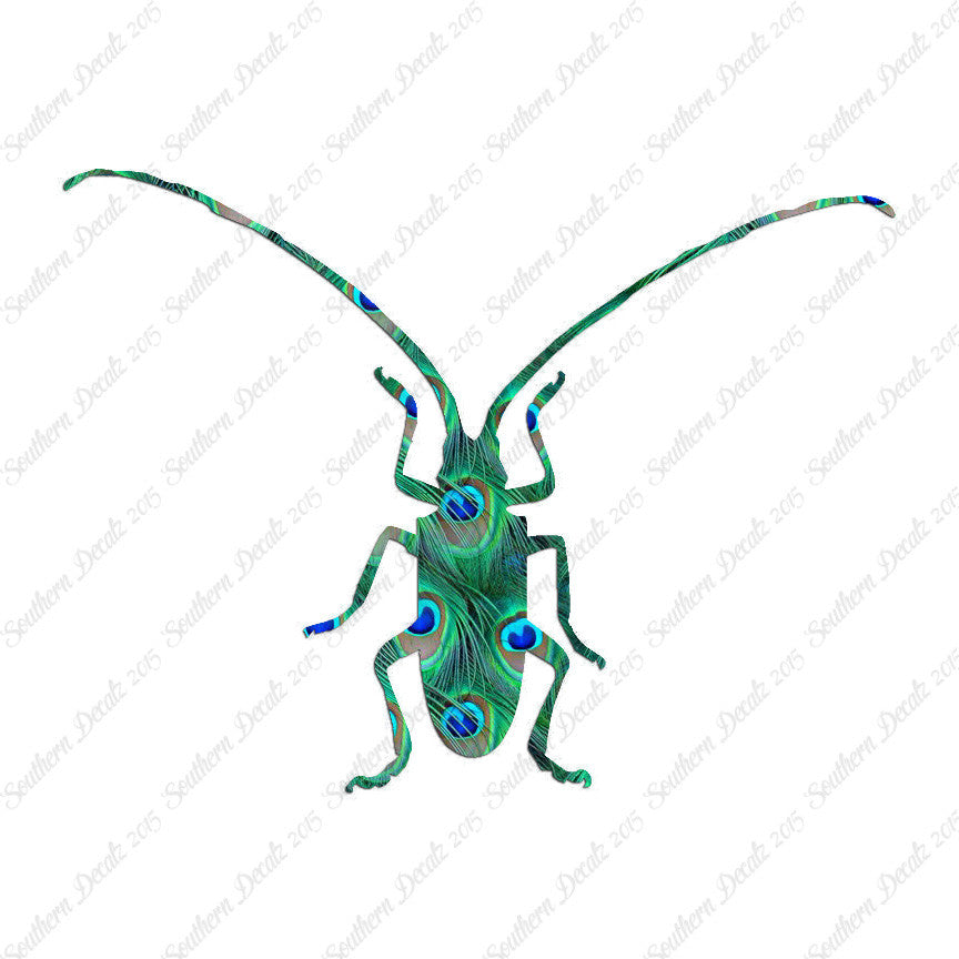 Longhorn Beetle