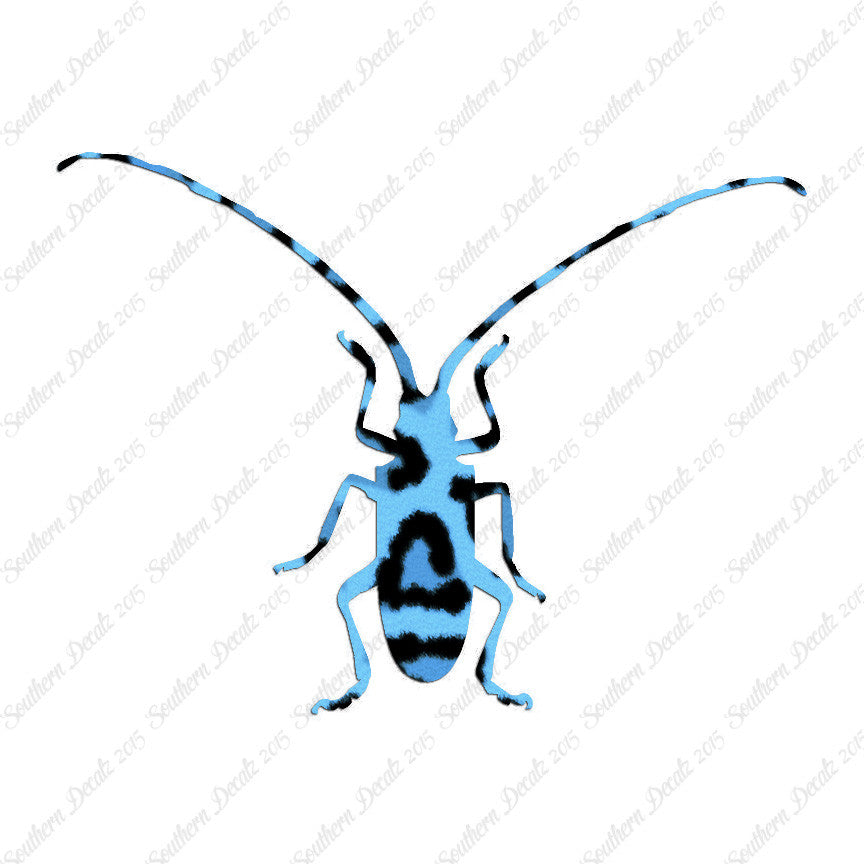 Longhorn Beetle
