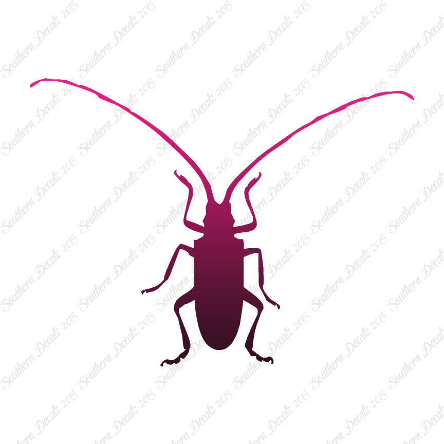 Longhorn Beetle