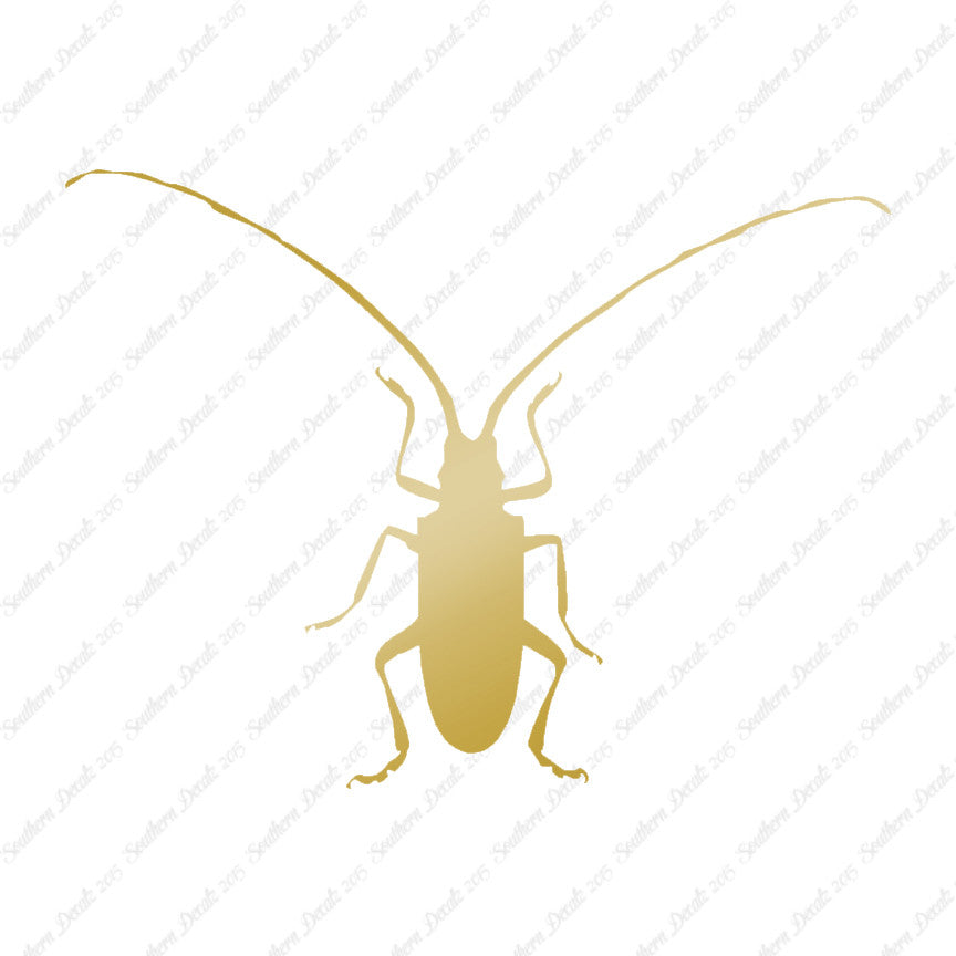 Longhorn Beetle