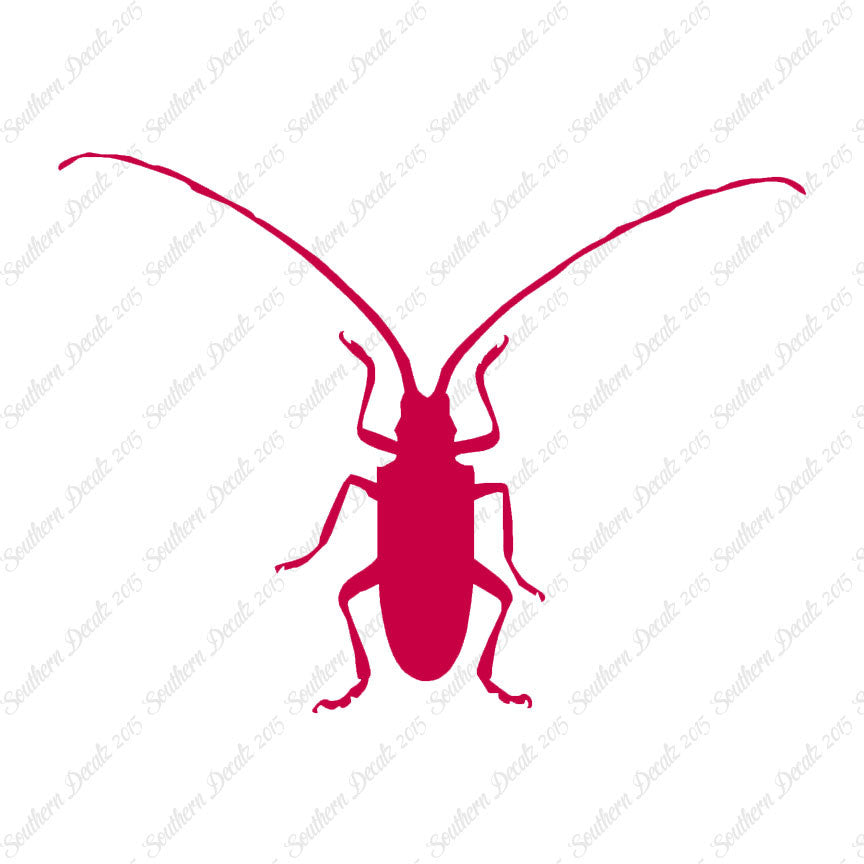 Longhorn Beetle