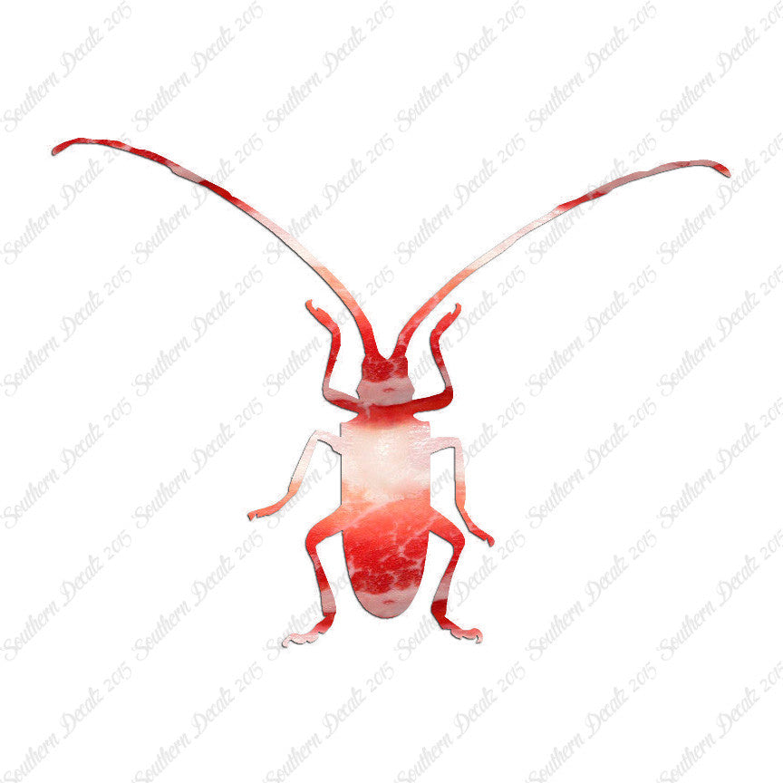Longhorn Beetle