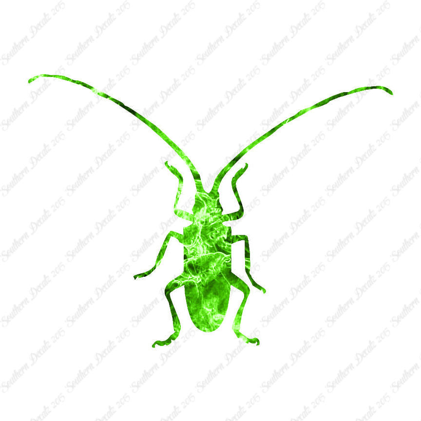 Longhorn Beetle