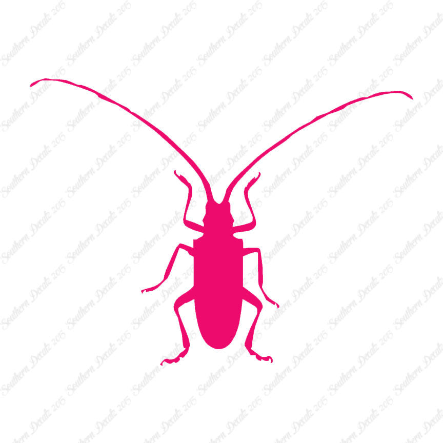 Longhorn Beetle