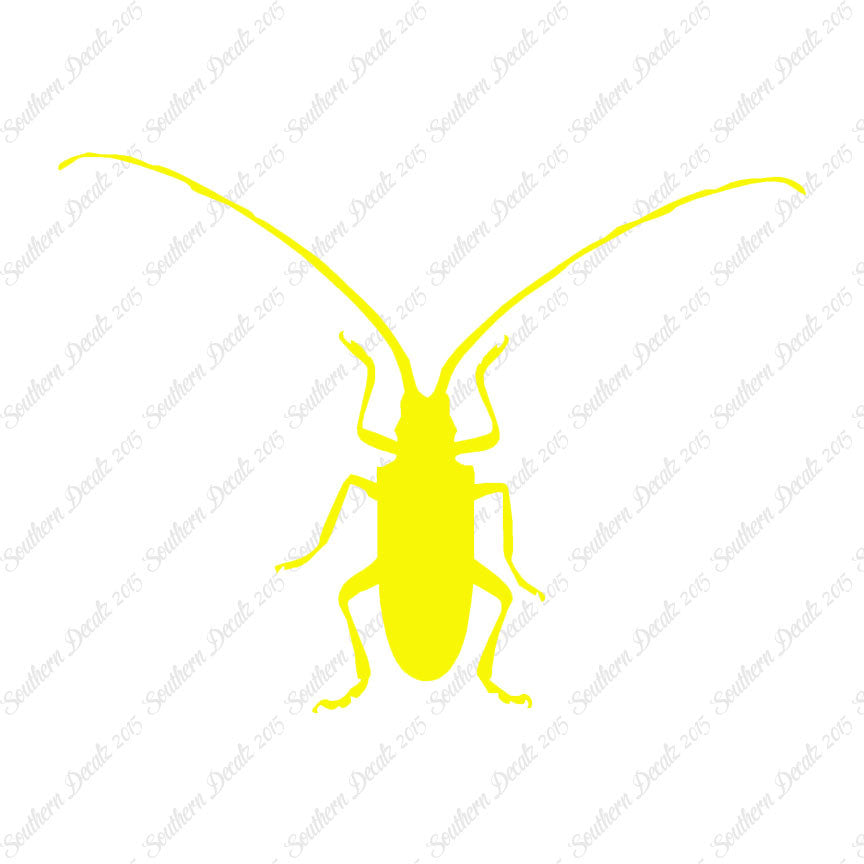 Longhorn Beetle