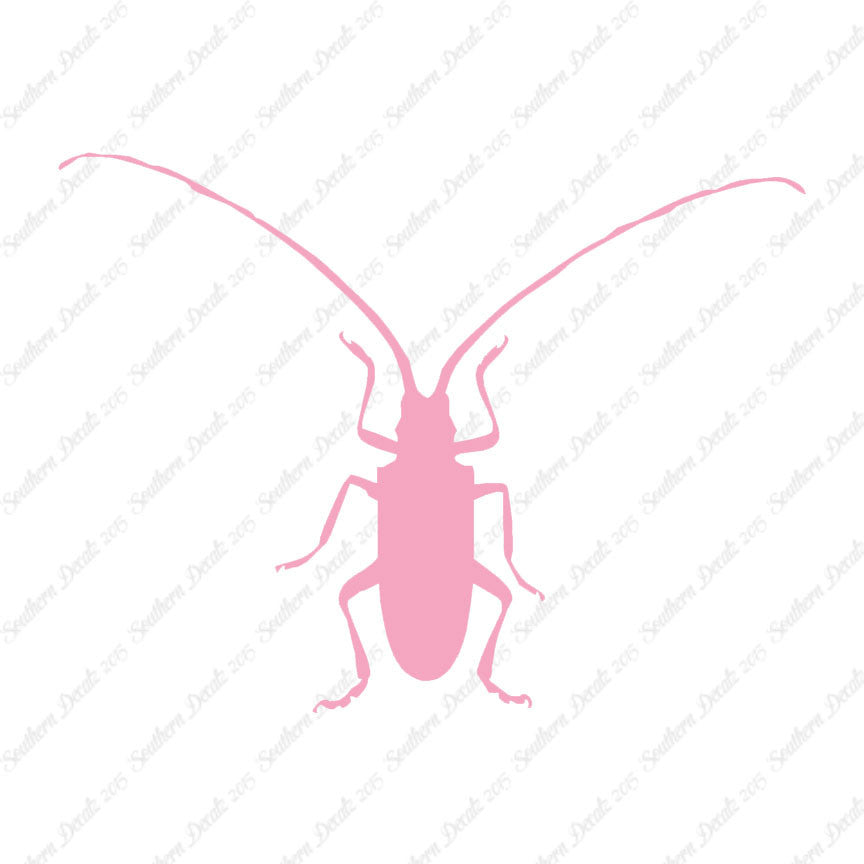 Longhorn Beetle