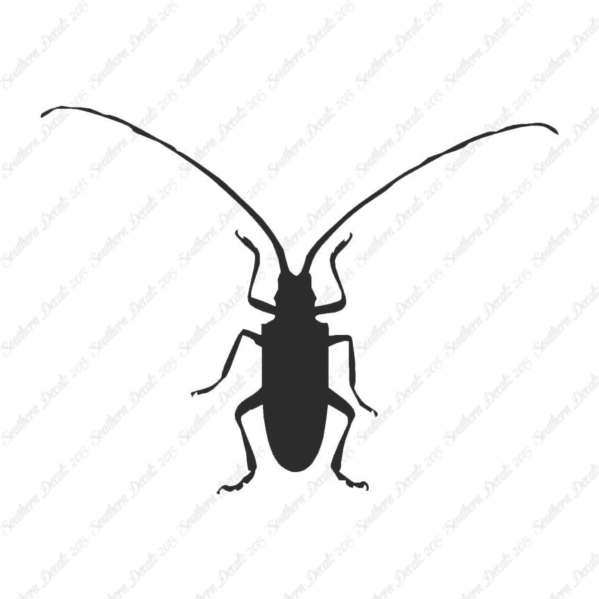 Longhorn Beetle