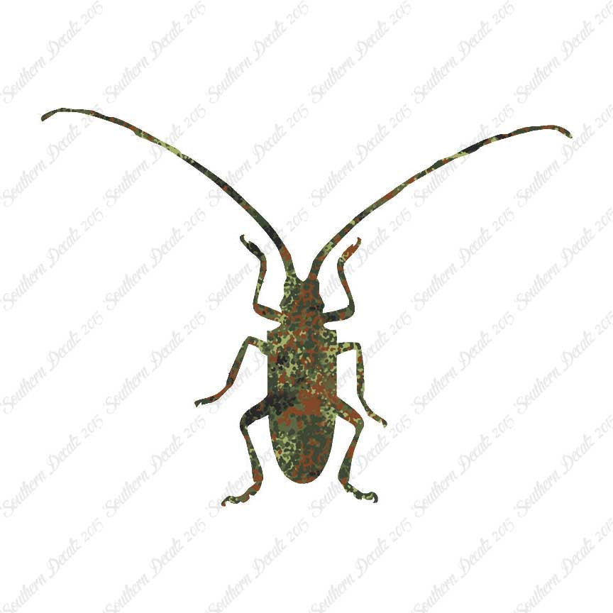 Longhorn Beetle