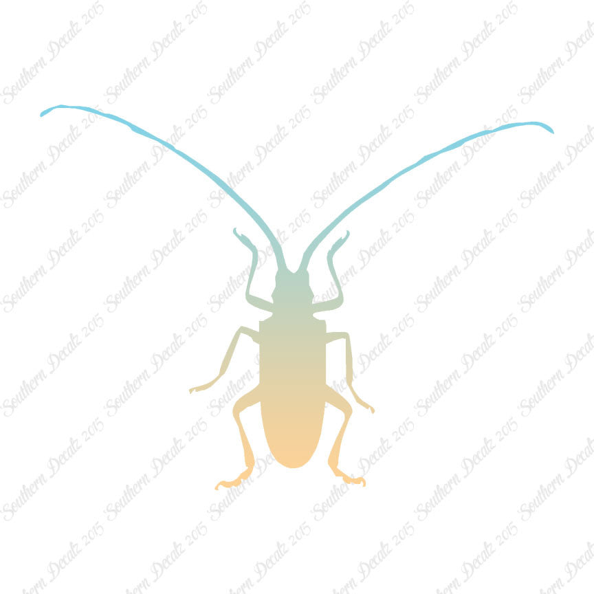 Longhorn Beetle