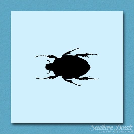 Black House Beetle