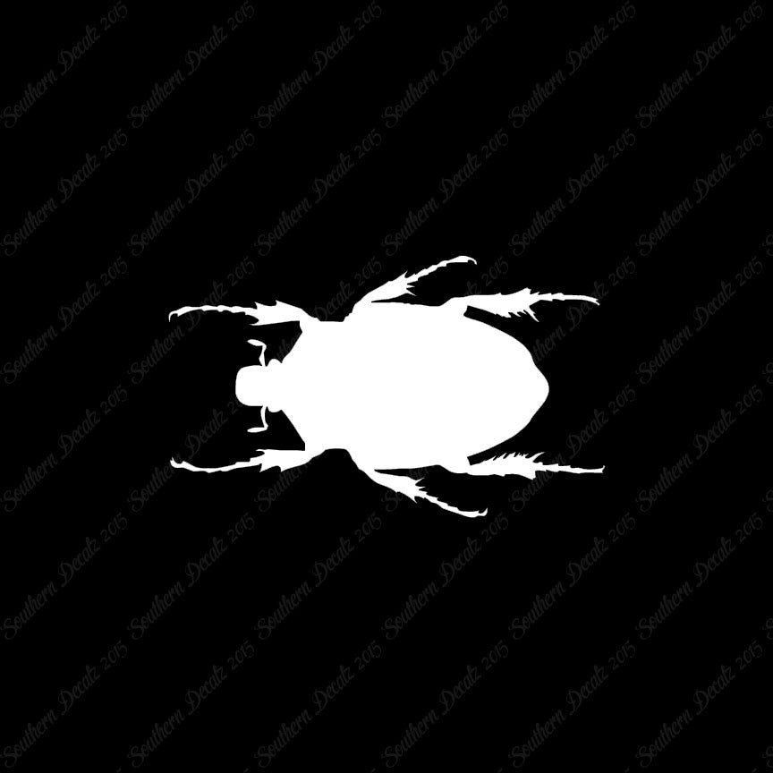 Black House Beetle