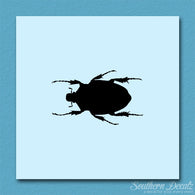 Black House Beetle