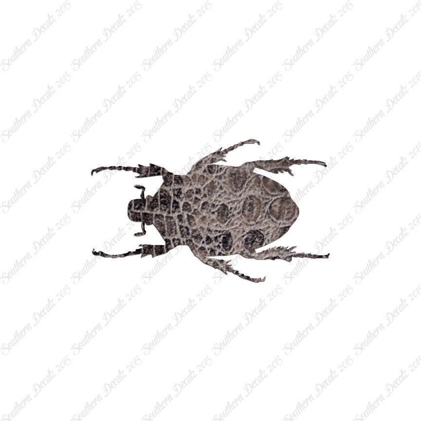 Black House Beetle