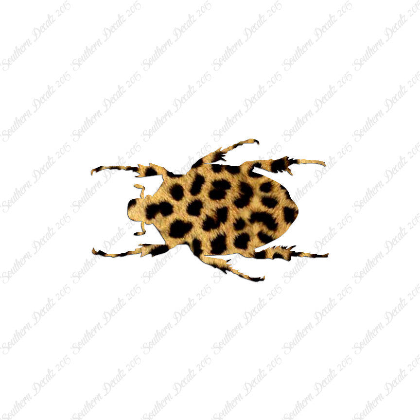 Black House Beetle