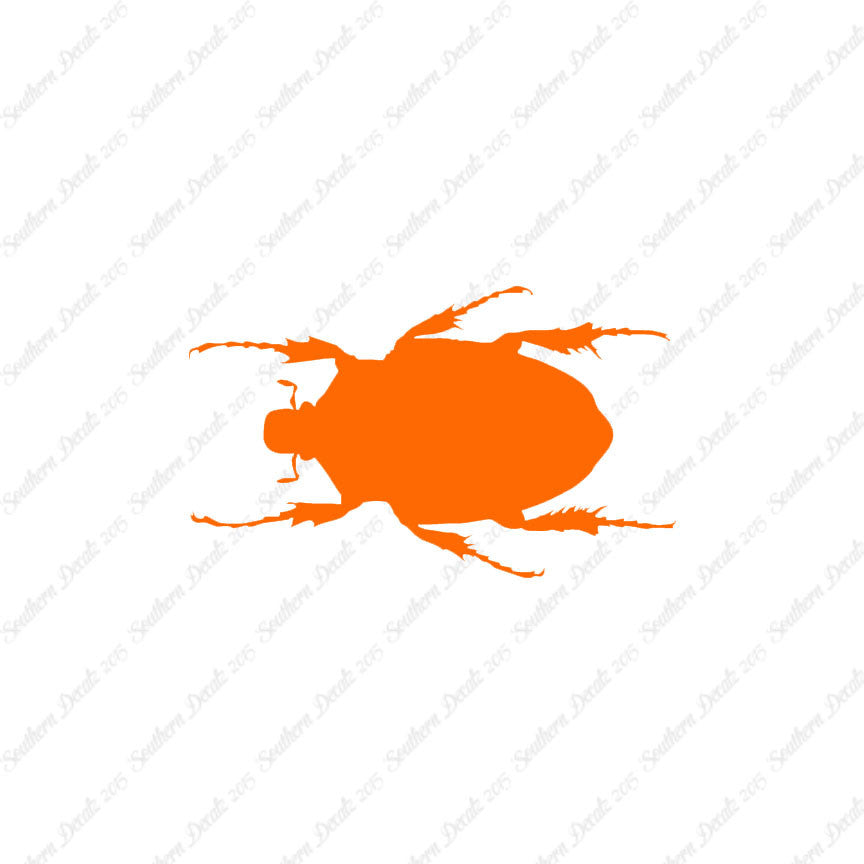 Black House Beetle