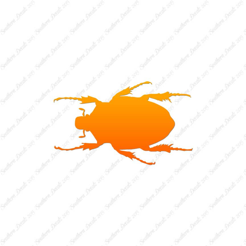 Black House Beetle