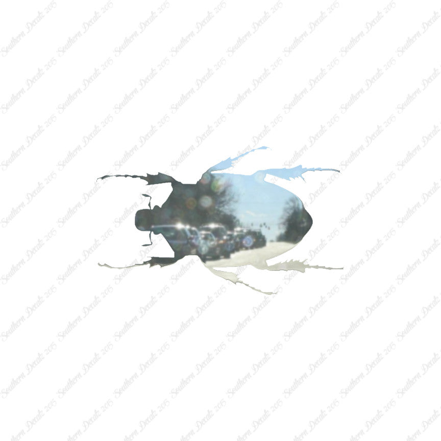 Black House Beetle