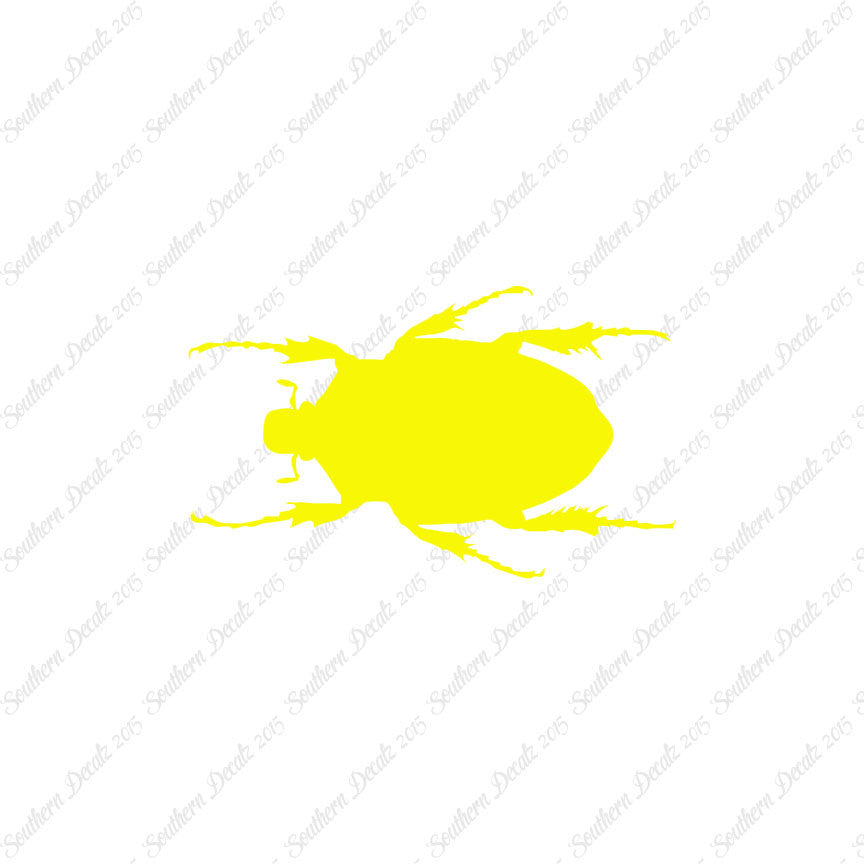 Black House Beetle
