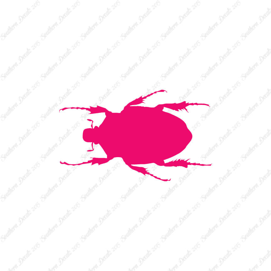 Black House Beetle