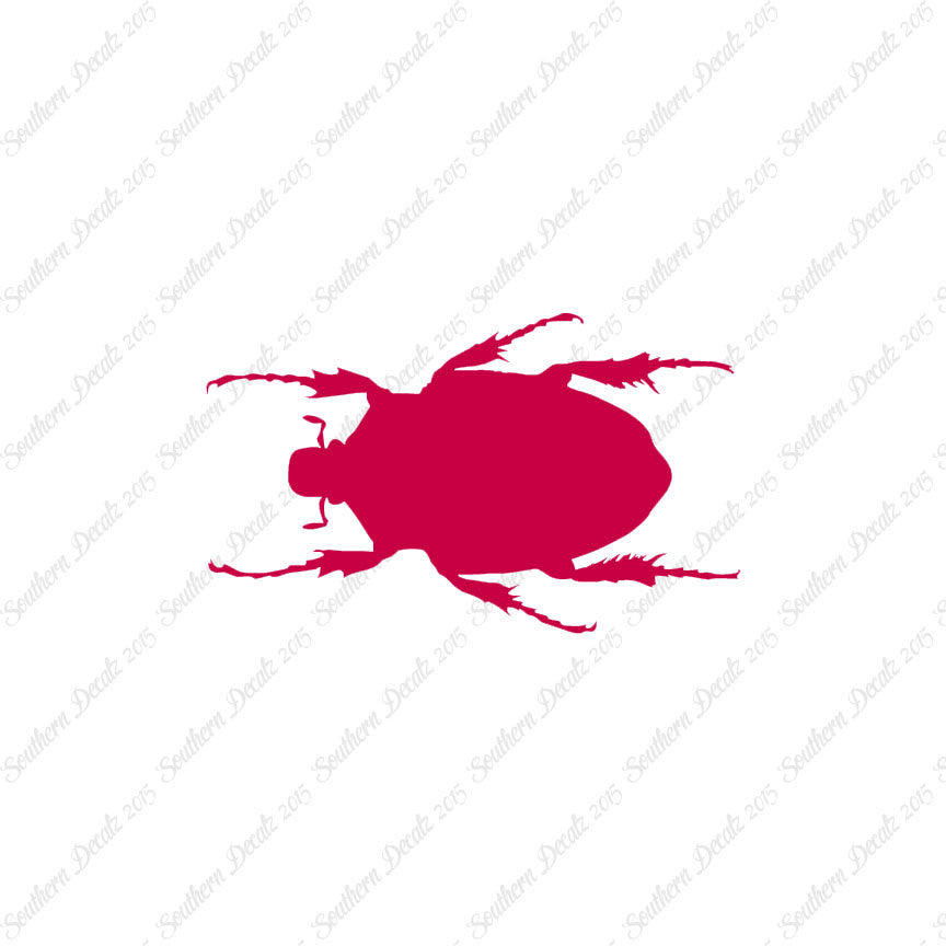 Black House Beetle