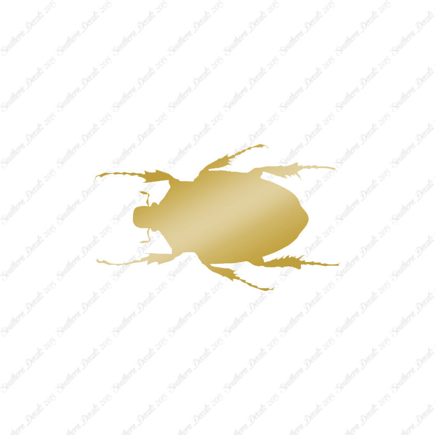 Black House Beetle