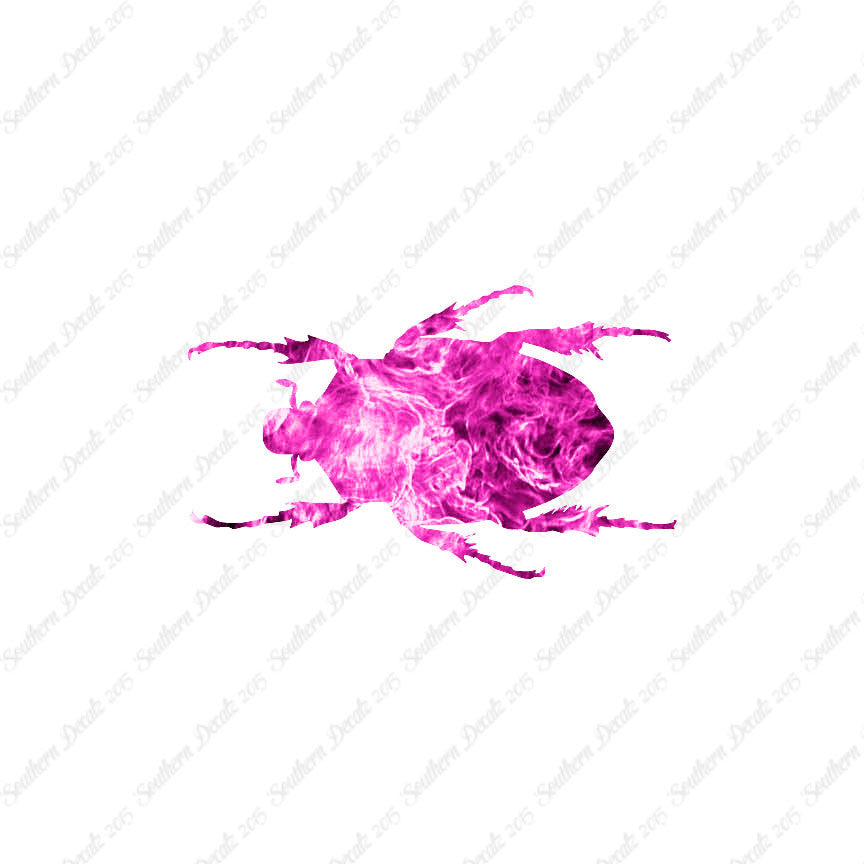 Black House Beetle