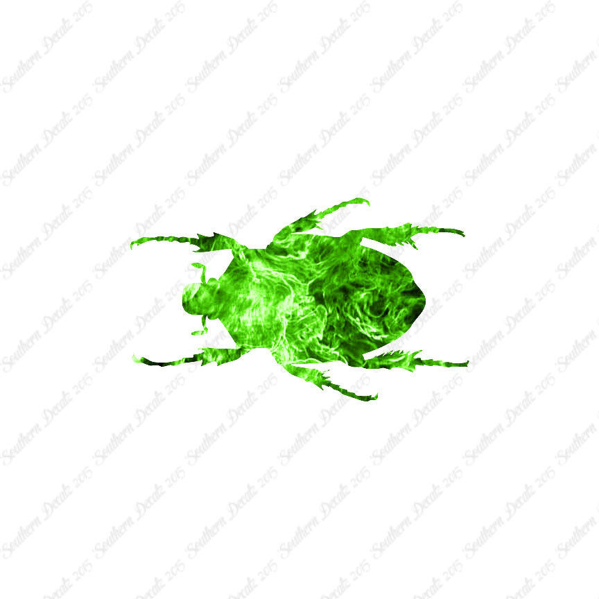 Black House Beetle