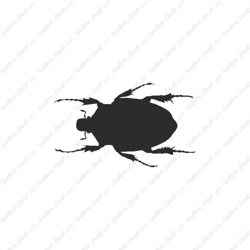 Black House Beetle