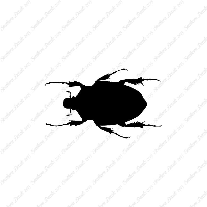 Black House Beetle