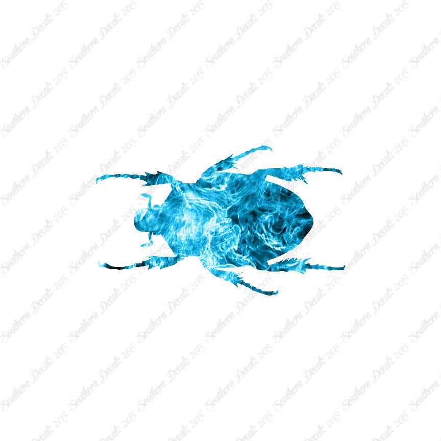 Black House Beetle