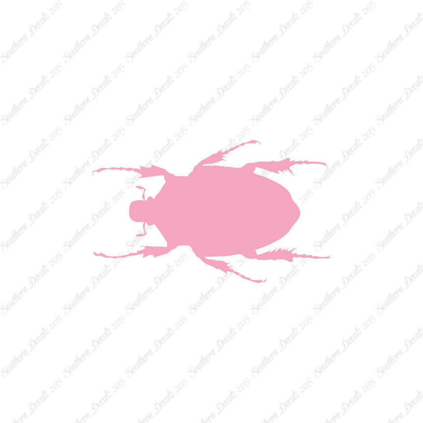 Black House Beetle
