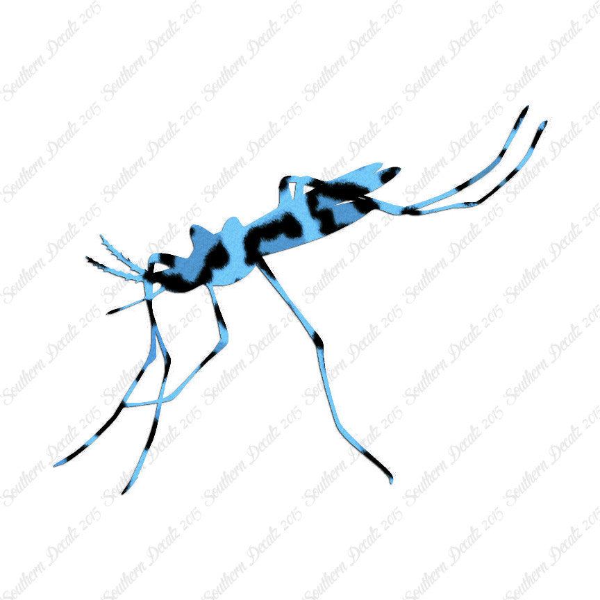 Mosquito Hawk Insect