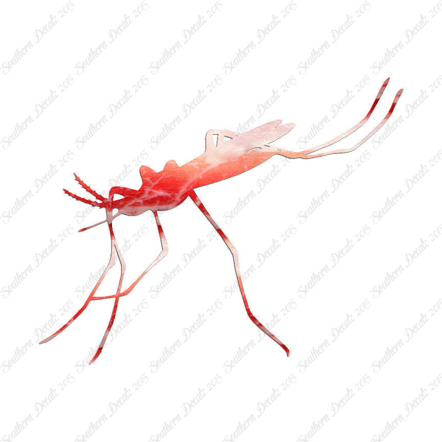 Mosquito Hawk Insect
