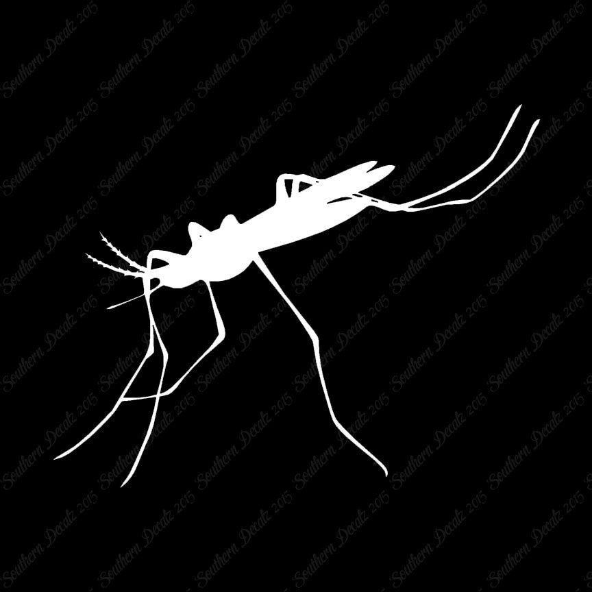 Mosquito Hawk Insect